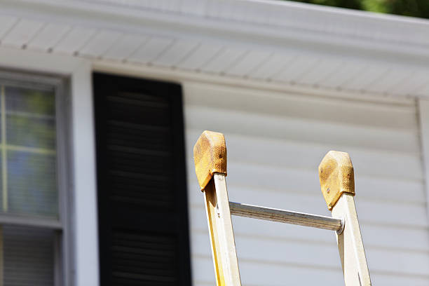 Best Siding Painting and Refinishing  in Sheboygan, WI